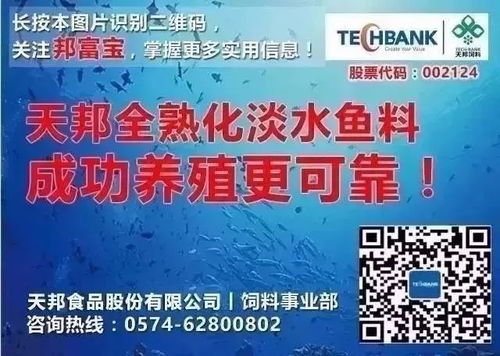 从养鱼老司机到饲料厂专家 为何胡画拉被“收编”的背后故事