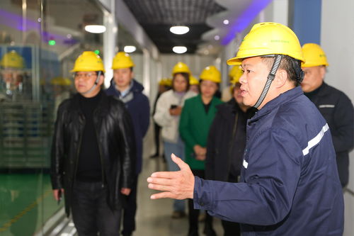 探秘金龙鱼透明工厂开放日 追寻小时候的菜油香的真谛